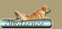 obedience